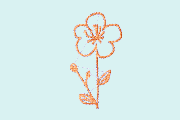Buttercup Flower