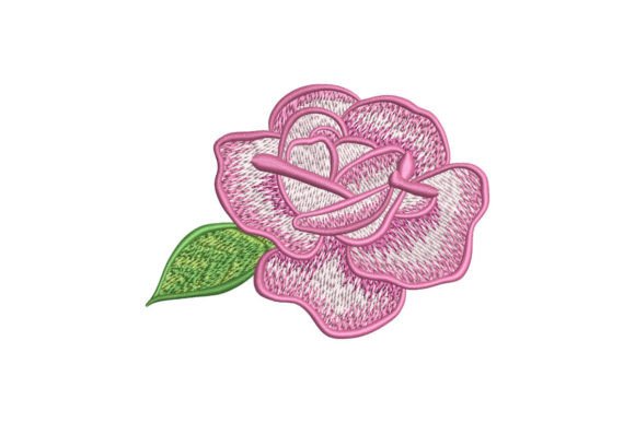Pink Rose Flower
